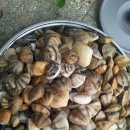 송정솔바람해변 주차장 이미지