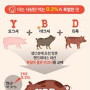 모티(해운대점) 이미지