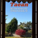 주식회사 현대수리조트 | 태안 숙소 추천 호텔어라이브 태안 한옥비치리조트 윤슬 객실 자쿠지 주차 후기