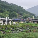 나주호농장 이미지