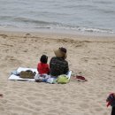 삼치기 - 상주시 | 삼치기