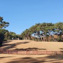 태강릉 입구 이미지