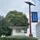 미니어리 | 사랑 찾아 떠난 도쿄-3
