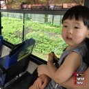 양덕동257 이미지