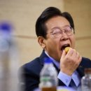 이재명 22 이미지