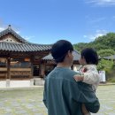 풍일로(일직면) | 안동 아기랑 카페 모음zip ☕️(루츠, 까치와호랑이, 구름에396, 커피홀, 바토플루이르)