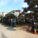 고양화수초등학교 이미지