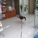 이담동물병원 이미지