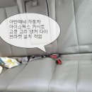 영일카프라자 이미지