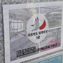 아르마도 워케이션