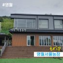 무릉도원면-44 이미지