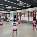 STS한국체대태권도 이미지