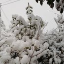 주암농장 이미지