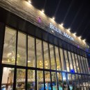 삼사자동차 | 남양주 아이랑 가기좋은 아쿠아리움 카페 블루문