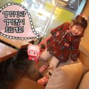 써니미뇽