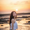 솔라