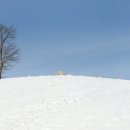 삼양목장 이미지