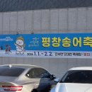 송어축제 | 뒤늦게 올리는 짧은 평창 송어축제 후기