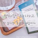 차고 | 백다담 보이차고 후기｜한 알로 끝나는 간편한 보이차
