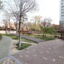 센트럴파크 2 이미지