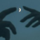 250715. 묵상글 ( 성 보나벤투라 주교 학자 기념일. - 모세와 파라오. 등 ) 이미지