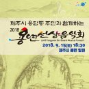 파아란제주 이미지