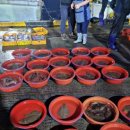 싱싱회 대게왕국 이미지