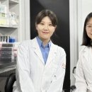주-004-한국의원3 이미지
