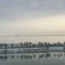 영종대로566번길 이미지