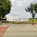 제2회 공주 유구색동수국정원 꽃 축제 일정 주차 개화 상황