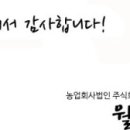 법인월넛팜