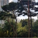 갤럭시부동산중개 이미지