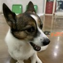 오늘도맑음 이미지