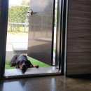 위드펫종합동물병원 이미지