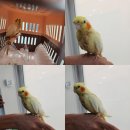 봉곡동407 이미지