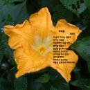 조동천 이미지