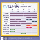 2023-0035 네이버블로그