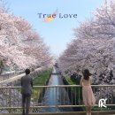 눈큰나라 이미지