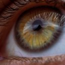 대한안경원 이미지