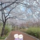 옥수당 이미지