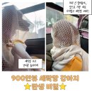 세모다방 | 해외로 입양 보내려던 임시보호견이 조회수 900만 세탁망 스타가 되기까지, 진저의 반전 실화