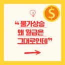 바로물가 이미지