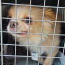 신금산단2길 이미지