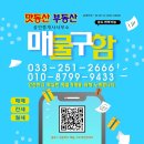 조운동 행정복지센터 이미지