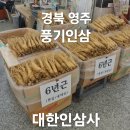 대한인삼사
