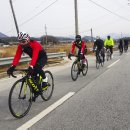 자전거 - 경주시 불국장터길 11-4 | 자전거