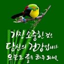 봉담2지구에이스공인중개사사무소 이미지