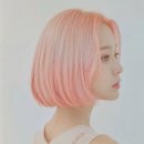 헤어퍼플 이미지