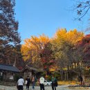 고전으로 떠나는 한자 여행 | [역장투어]-서해금빛열차로 떠나는 서산 당일 여행후기