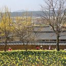 평생학습센터 건강챙겨야할 때, 남성 요가 | 국내 카페 여행의 재발견, 그리고 하루 8만 원의 호사